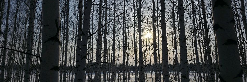 За Околицей