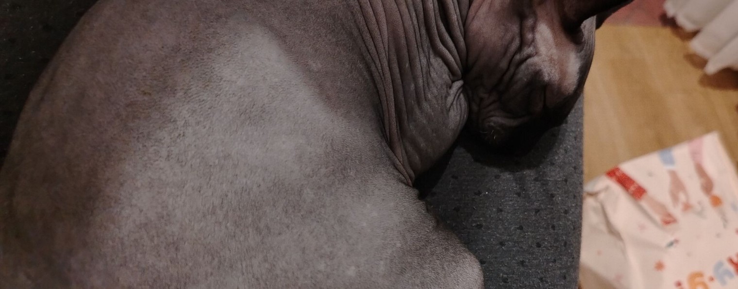 Цветочек🩷