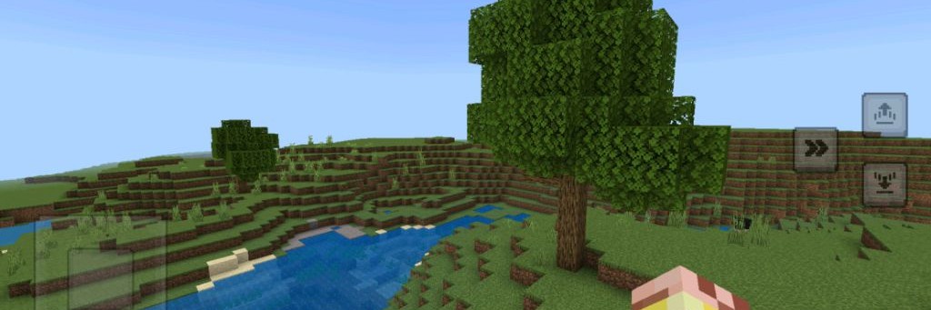 Parmezan minecraft