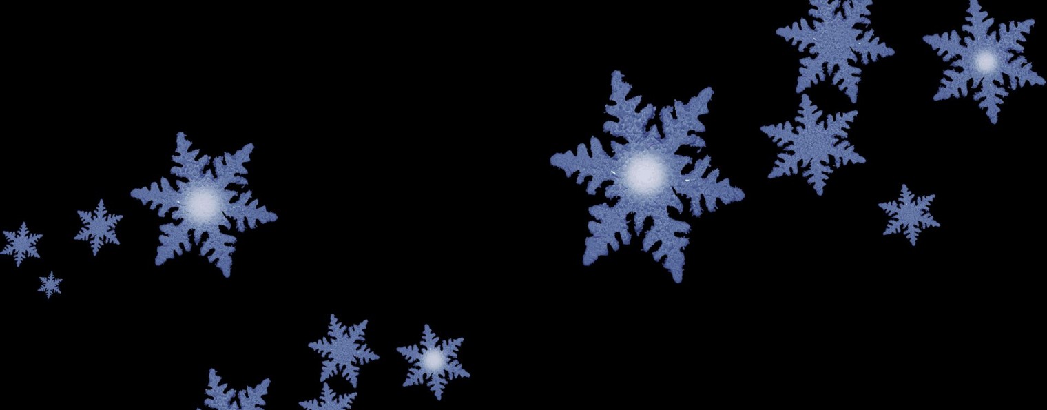 Светлана Александровна Евсеева