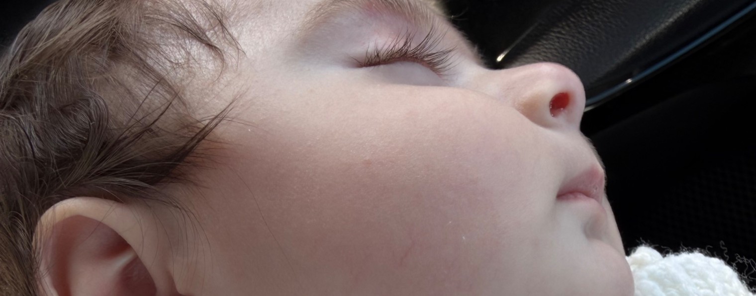 милые видосики