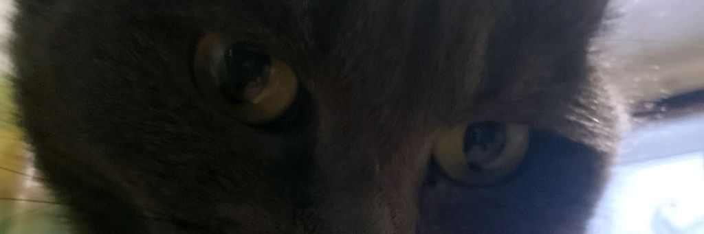 Мурыська Буськина