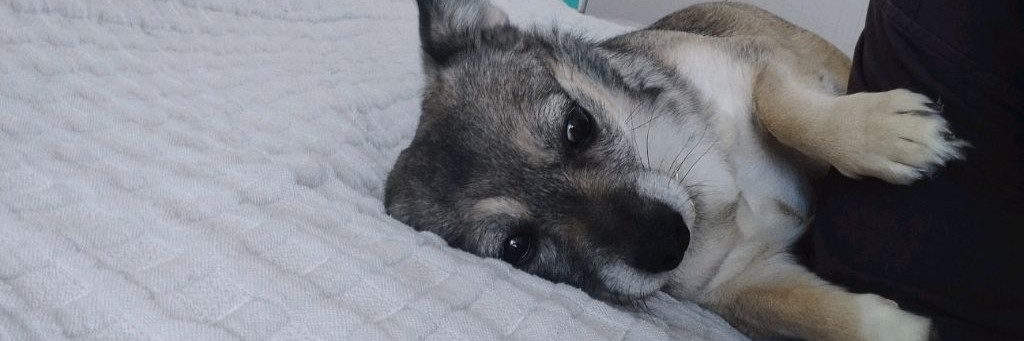 Тимофей %{}{}67￴￴￴￴￴￴￴￴￴￴￴￴￴￴￴￴ ￴￴￴￴￴￴￴￴￴￴￴￴ ￴￴￴￴