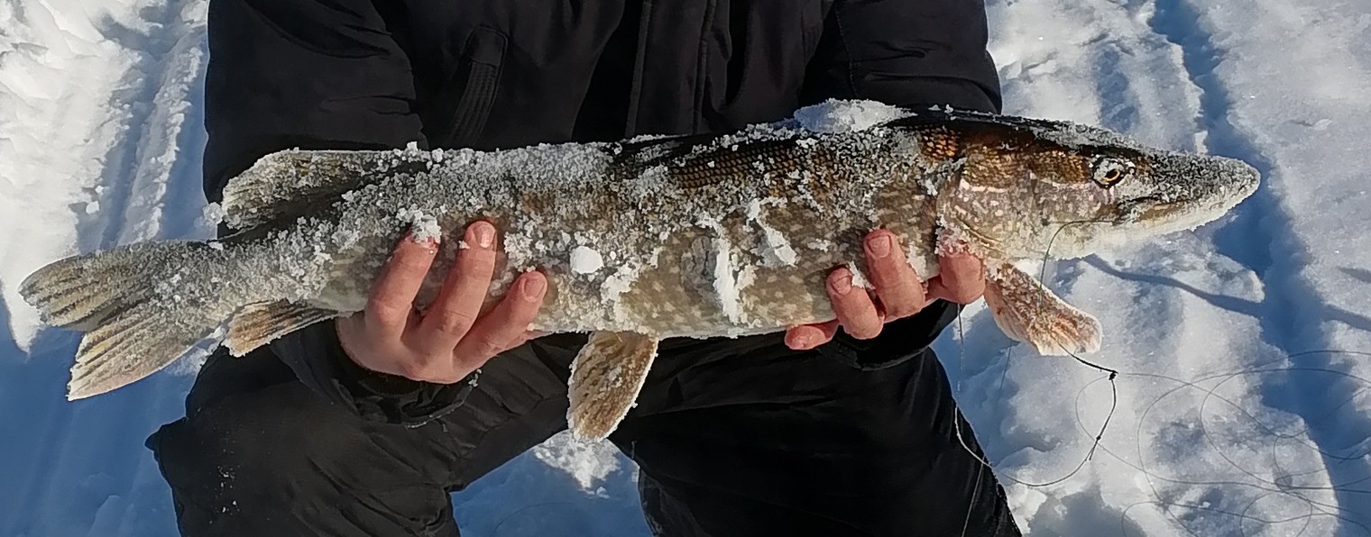 Не за рыбой, а на рыбалку.