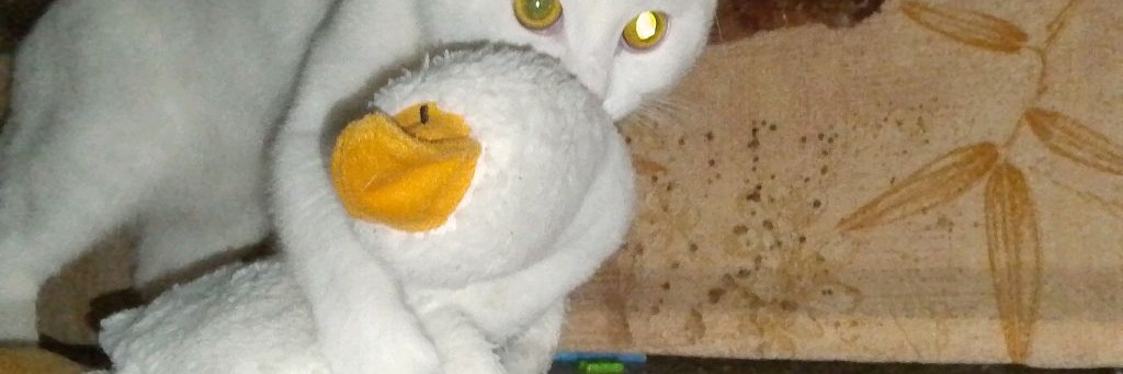 Мистрабан Никита