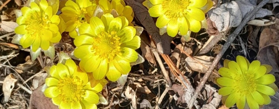 Для души-монтаж видеороликов