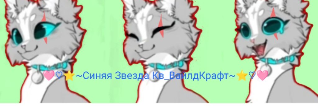 🩷♡⭐~Синяя Звезда Кв_ВайлдКрафт~⭐♡🩷