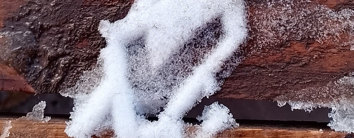 Свобода мысли