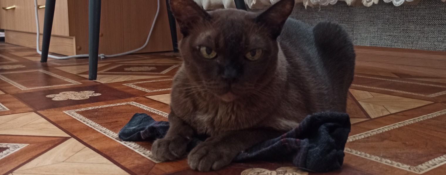 Ковëр на стене