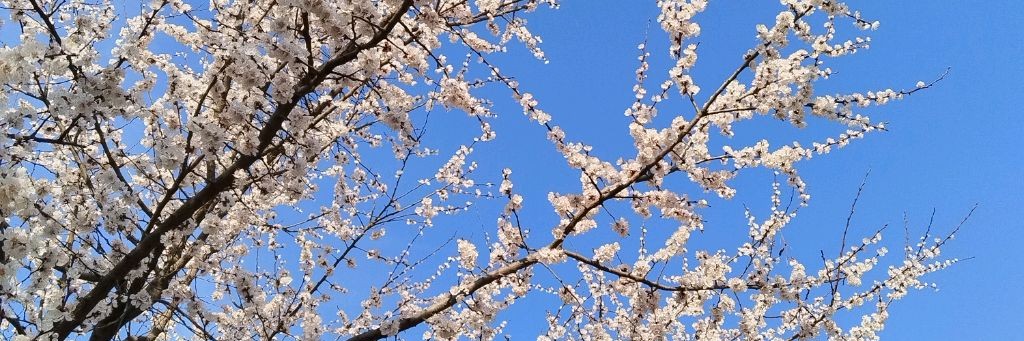 ЖИЗНЬ БЕЗ ПРЕКРАС