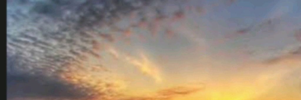 𐙚 ‧₊💤˚ ⋅ 𓂅. 𓂃۶ৎ ADelb«Stoyn-FeMily𐙚 ‧₊💤˚ ⋅