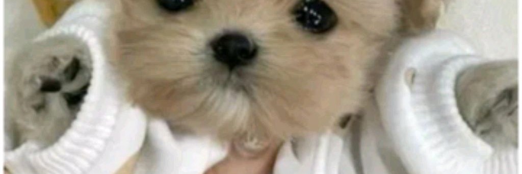 ❤️СОНЮК❤️