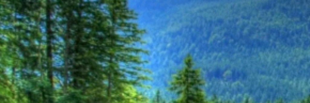 Козий дворик Лины