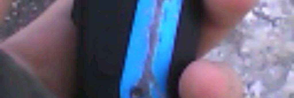 Yurich Live Real Live