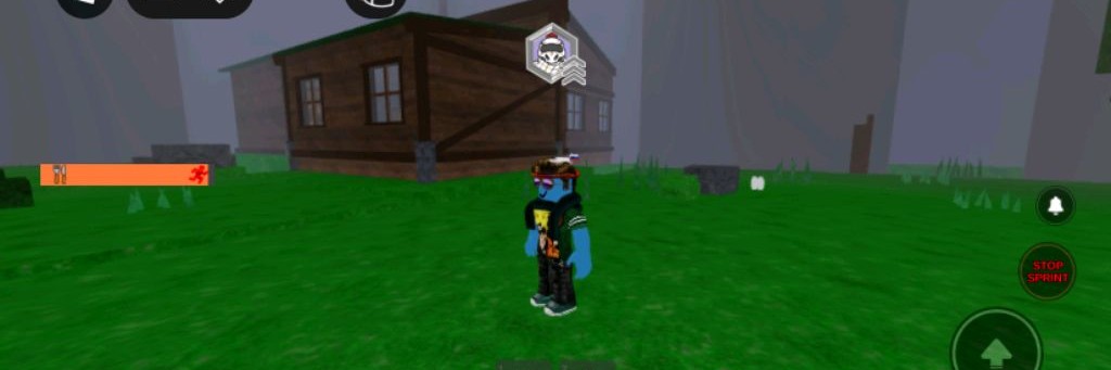 Кот Дракон 300.9