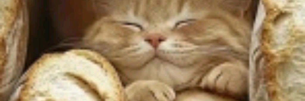 Хлебо Котик