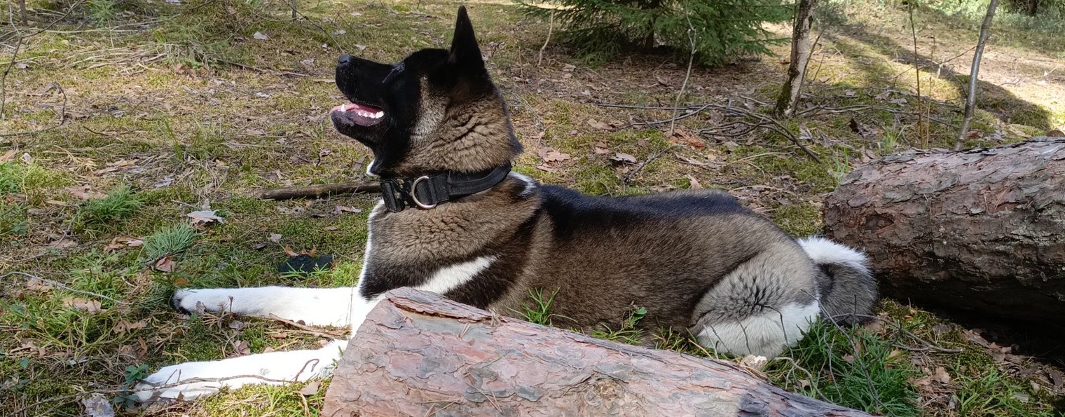 Оля и Моника