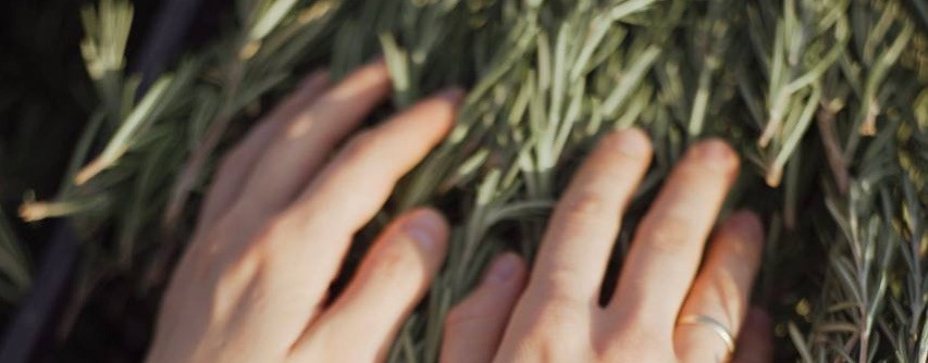 МУДРАЯ ФЕРМА в горном Крыму