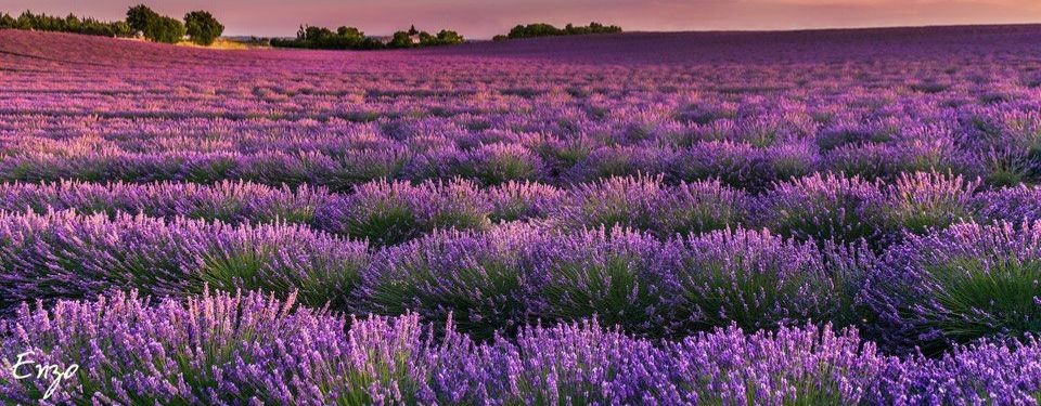 Гармония Души.