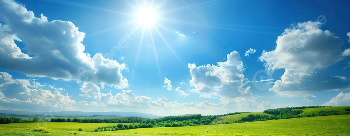 Товарищ Топтыгин