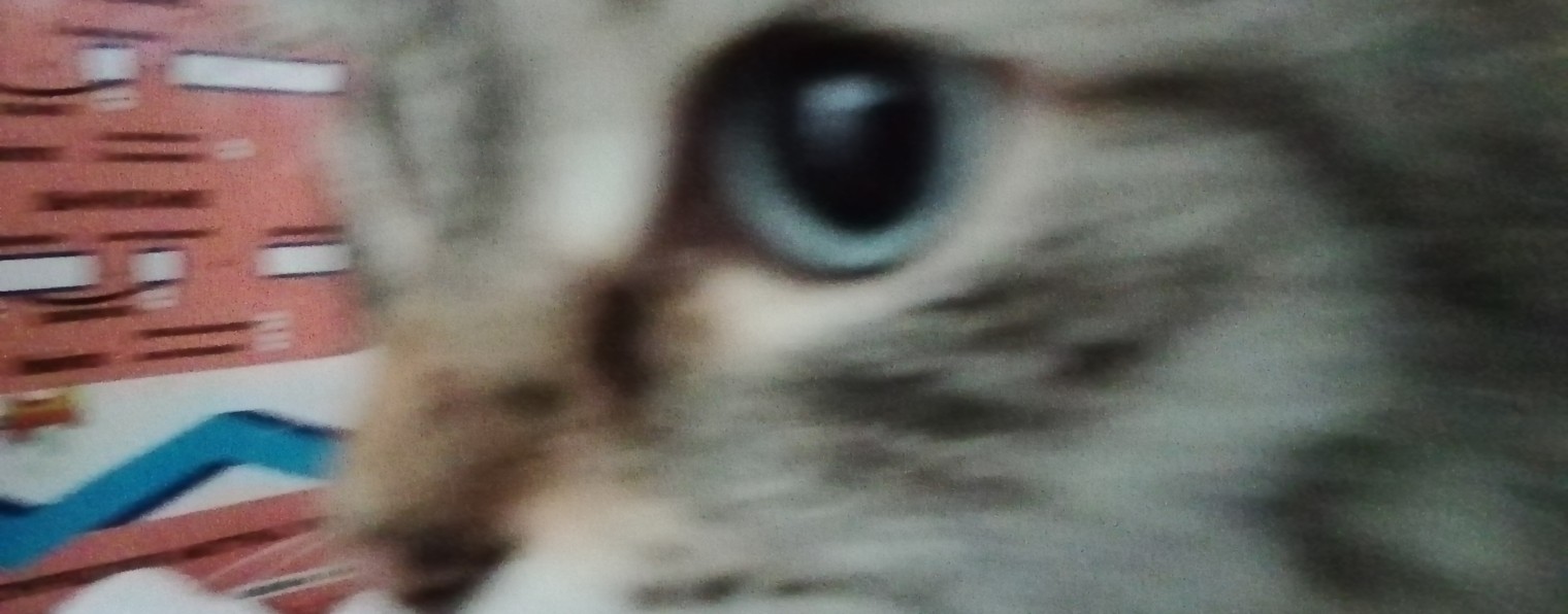 Milashka🥺jonik and Julka ☑️