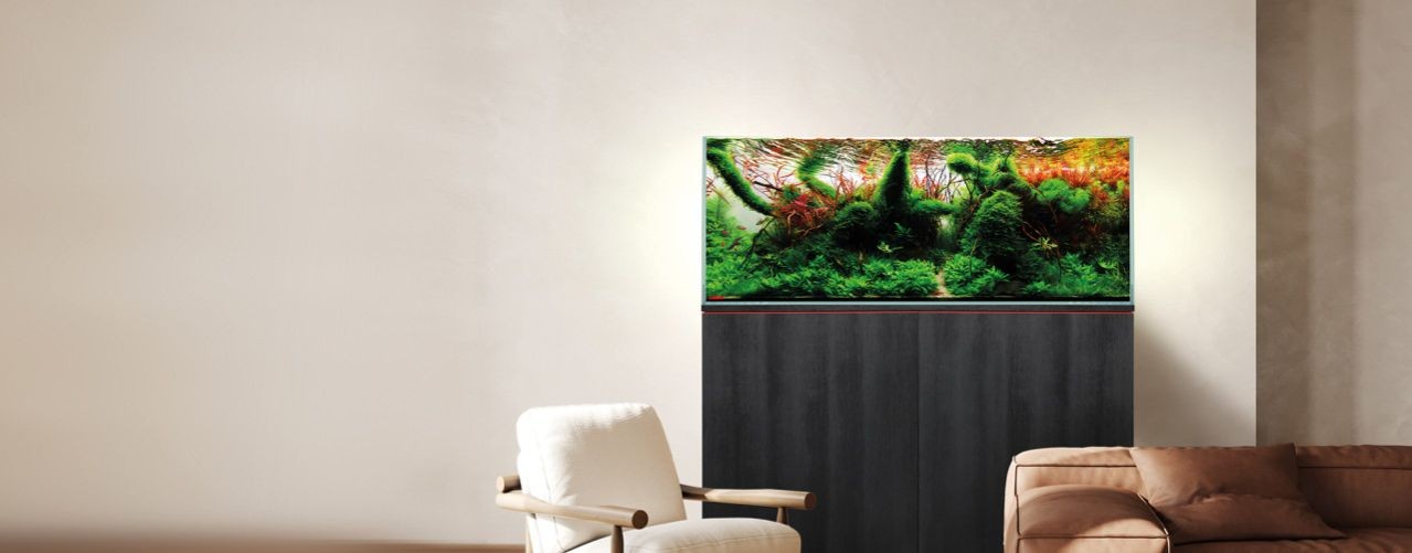 Аквионика - официальный канал интернет-магазина