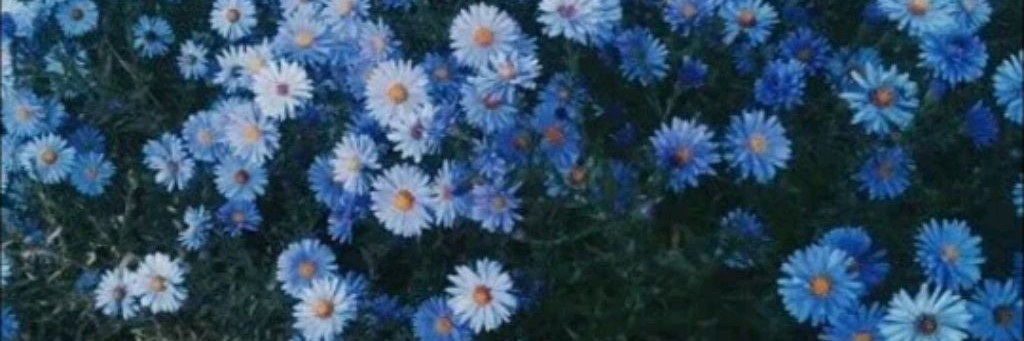 Dora is extraordinarily Deep