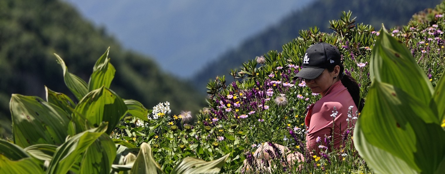 Куда поедем?