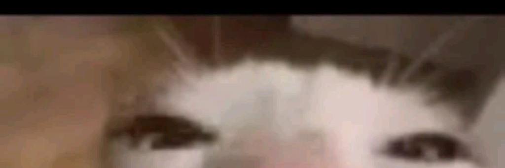 Аскарик Но 09