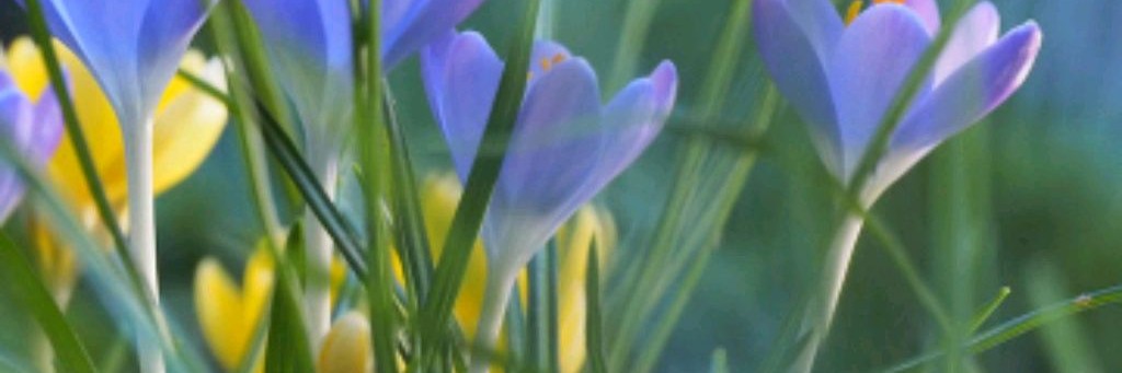 КРИСТИНА ❤️и Аватар Ворлд 😘