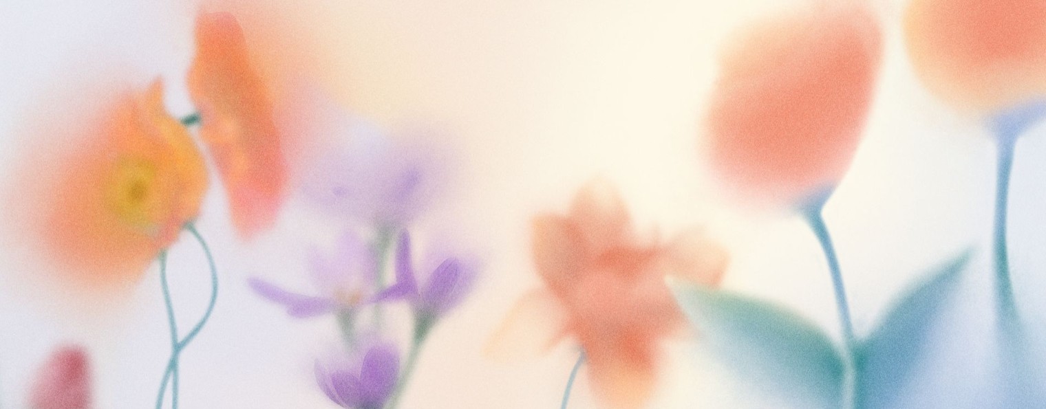 Группа компаний "СПЕКТРУМ"