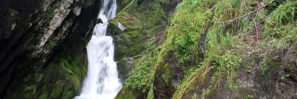 Хлебушек🌲🌲🌲