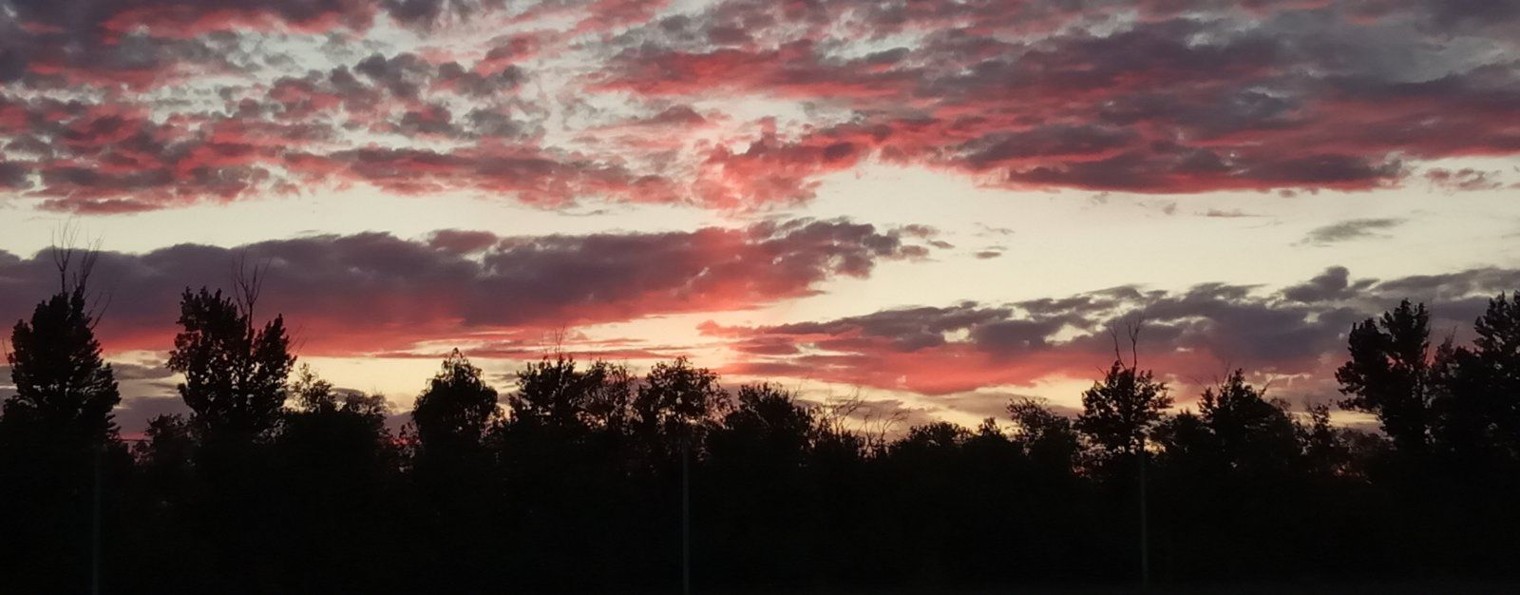 Дом в Мусорке