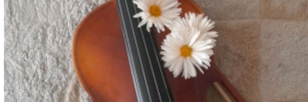 "Скрипочка и скрипачи"