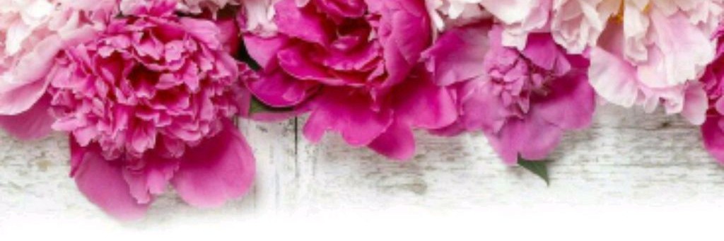 Просто Лена