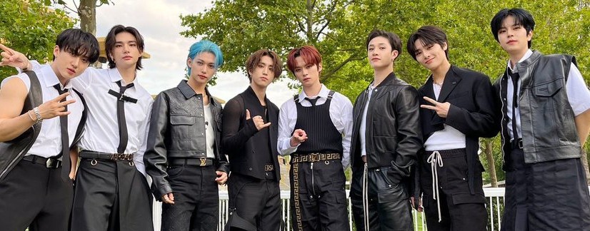 Kpop группа.Stray kids.Мяухо 🦊💞.