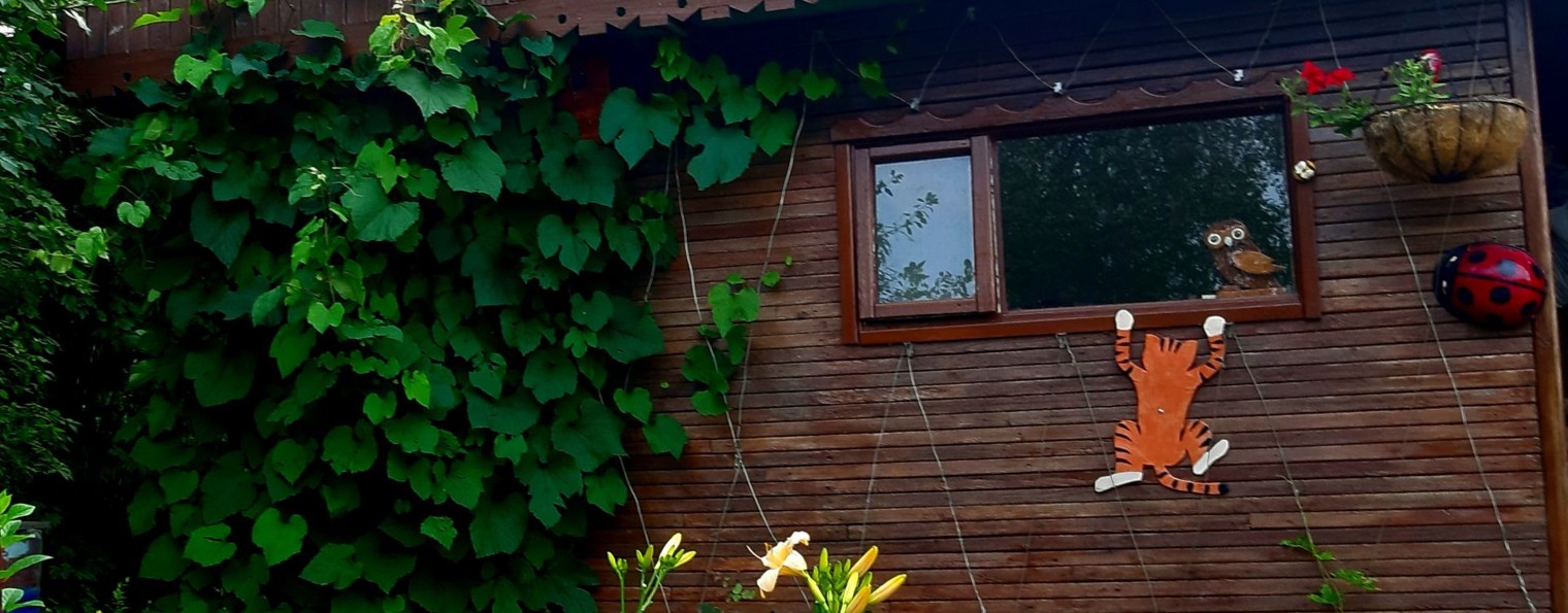 Наша дача Кмс