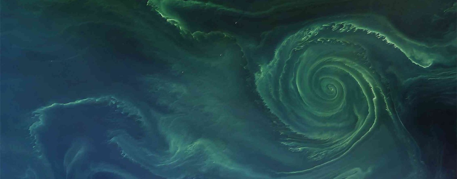 Хаотичные записки