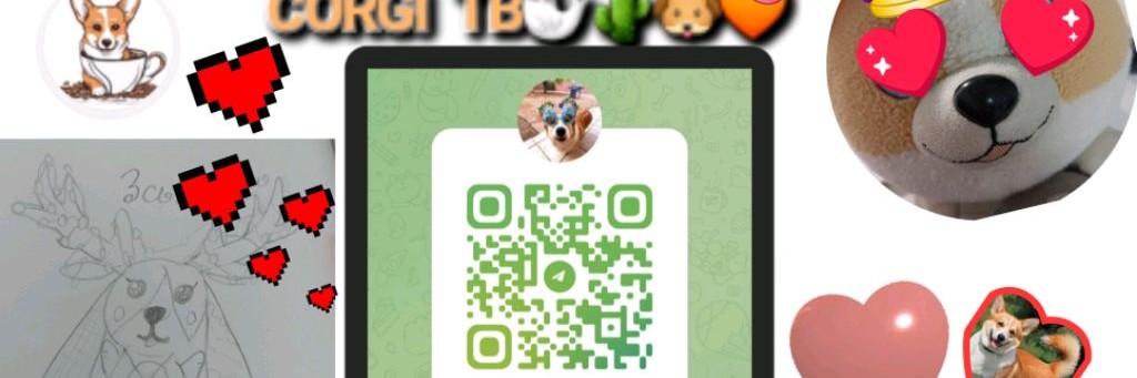 CORGI TB🧡🦭🌵🐶