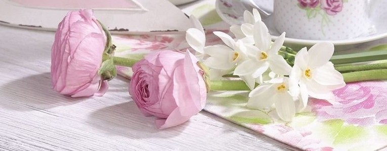 Альбом моей жизни