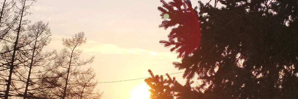 Красная Кнопка 2