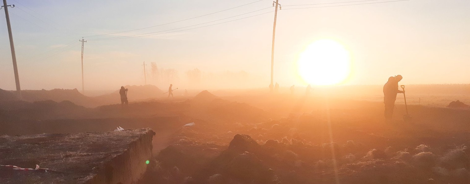 Археологическая Экспедиция. Экспертиза, раскопки