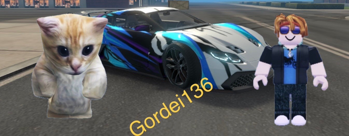 Gordei136