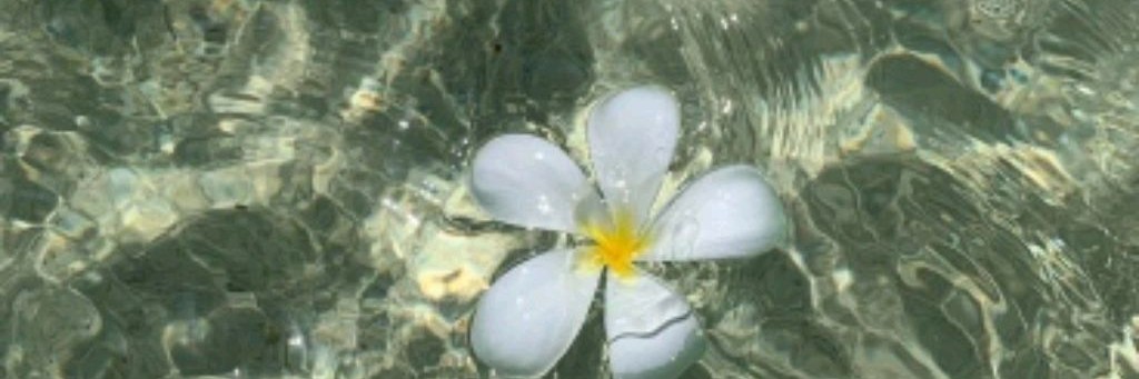 🧺🤎тока чебуречек 🪵🦅