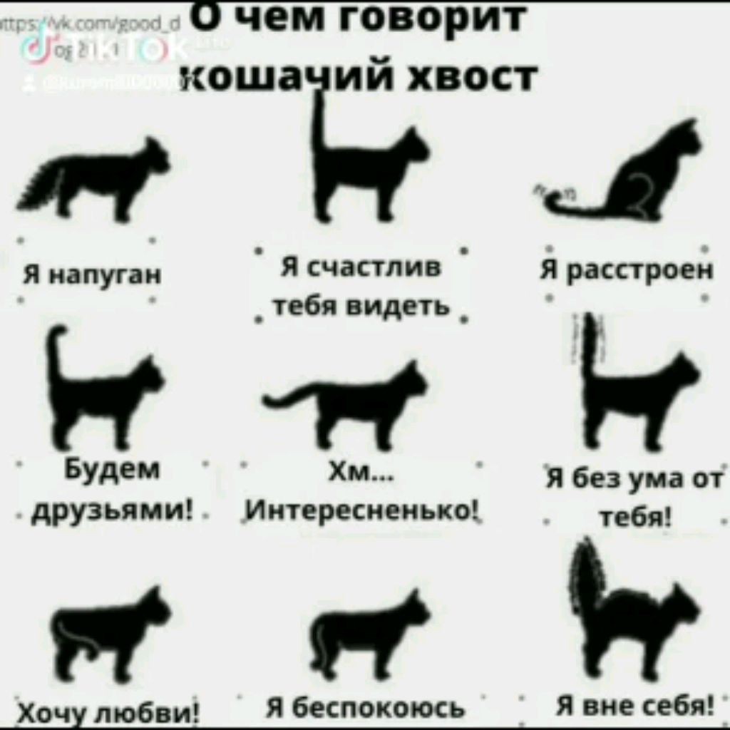 Ксюша Чеснок!