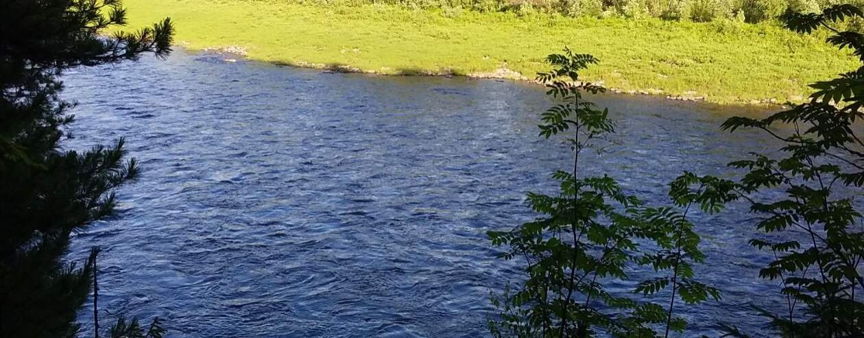 Ольга Семеновна Суранова