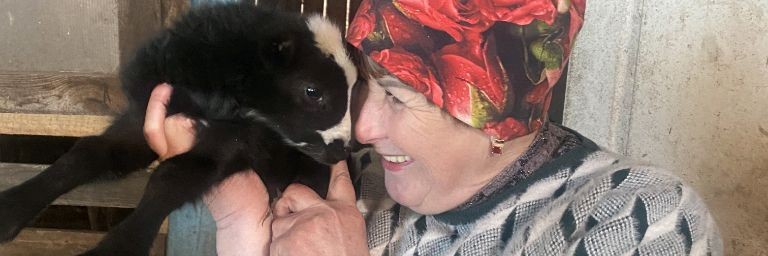 Сельские Будни