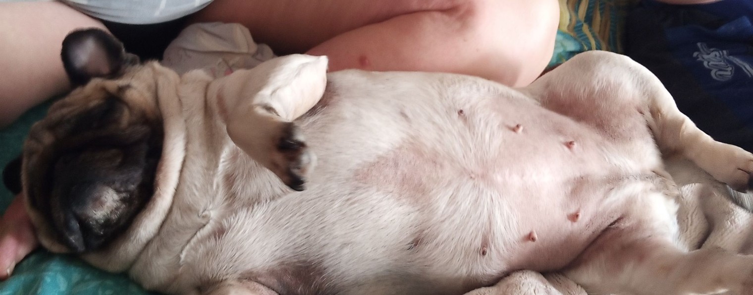 Лëва. Спрунки