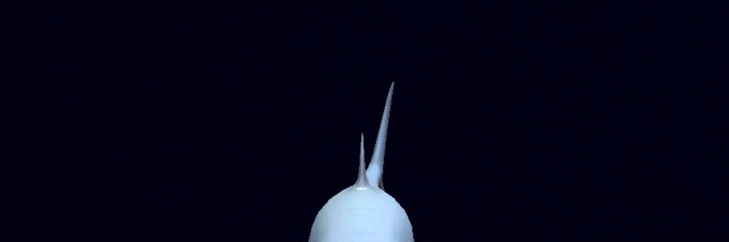 rutube_account_13417736