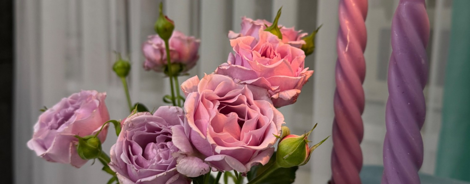 Елена PROФаберлик